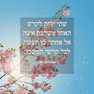 Picture 04 - שמות 26:17 HEB - שתי ידות לקרש האחד משלבת - Bible Verse Picture