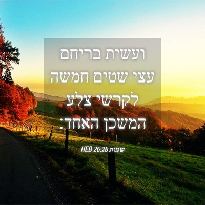 Picture 04 - שמות 26:26 HEB - ועשית בריחם עצי שטים חמשה - Bible Verse Picture