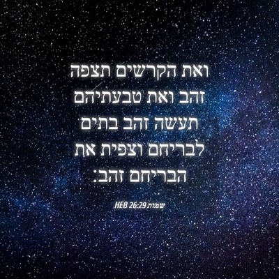 Picture 04 - שמות 26:29 HEB - ואת הקרשים תצפה זהב ואת - Bible Verse Picture