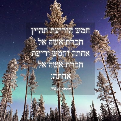 Picture 04 - שמות 26:3 HEB - חמש היריעת תהיין חברת אשה - Bible Verse Picture