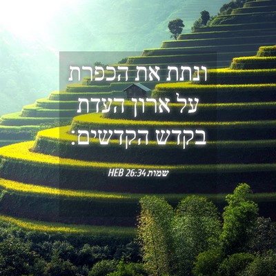 Picture 04 - שמות 26:34 HEB - ונתת את הכפרת על ארון העדת - Bible Verse Picture