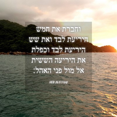 Picture 04 - שמות 26:9 HEB - וחברת את חמש היריעת לבד ואת - Bible Verse Picture