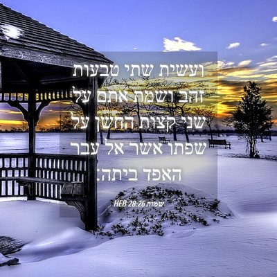 Picture 04 - שמות 28:26 HEB - ועשית שתי טבעות זהב ושמת - Bible Verse Picture