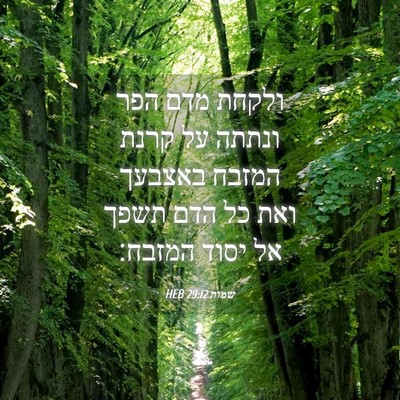 Picture 04 - שמות 29:12 HEB - ולקחת מדם הפר ונתתה על קרנת - Bible Verse Picture