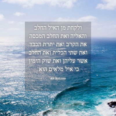 Picture 04 - שמות 29:22 HEB - ולקחת מן האיל החלב והאליה - Bible Verse Picture