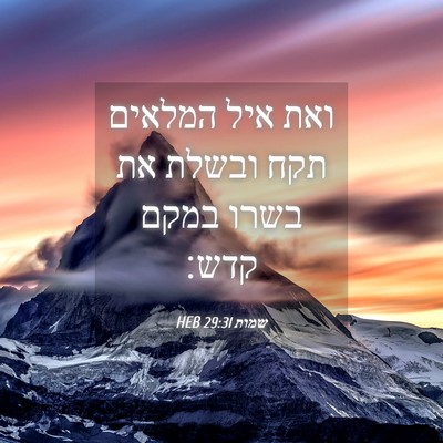 Picture 04 - שמות 29:31 HEB - ואת איל המלאים תקח ובשלת את - Bible Verse Picture