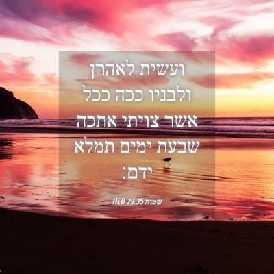 Picture 04 - שמות 29:35 HEB - ועשית לאהרן ולבניו ככה ככל - Bible Verse Picture