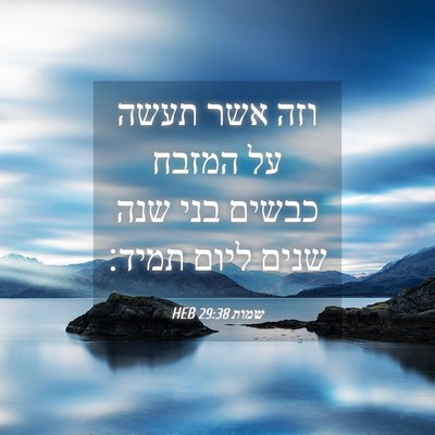Picture 04 - שמות 29:38 HEB - וזה אשר תעשה על המזבח כבשים - Bible Verse Picture