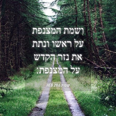 Picture 04 - שמות 29:6 HEB - ושמת המצנפת על ראשו ונתת את - Bible Verse Picture