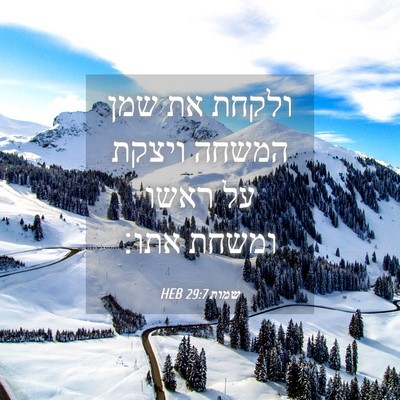 Picture 04 - שמות 29:7 HEB - ולקחת את שמן המשחה ויצקת על - Bible Verse Picture