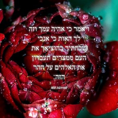 Picture 04 - שמות 3:12 HEB - ויאמר כי אהיה עמך וזה לך - Bible Verse Picture