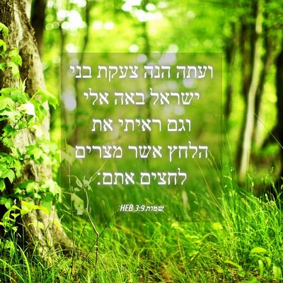 Picture 04 - שמות 3:9 HEB - ועתה הנה צעקת בני ישראל באה - Bible Verse Picture