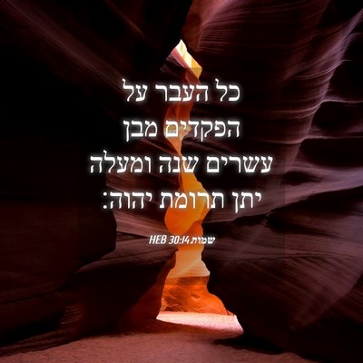 Picture 04 - שמות 30:14 HEB - כל העבר על הפקדים מבן עשרים - Bible Verse Picture