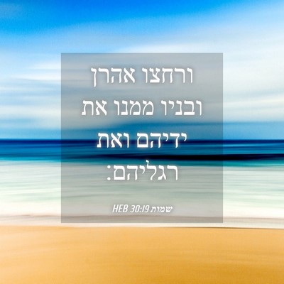 Picture 04 - שמות 30:19 HEB - ורחצו אהרן ובניו ממנו את - Bible Verse Picture