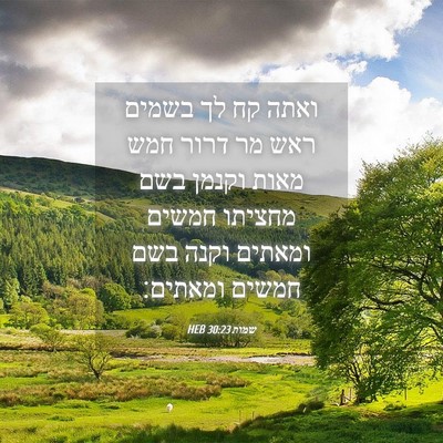 Picture 04 - שמות 30:23 HEB - ואתה קח לך בשמים ראש מר - Bible Verse Picture