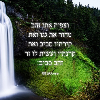 Picture 04 - שמות 30:3 HEB - וצפית אתו זהב טהור את גגו - Bible Verse Picture