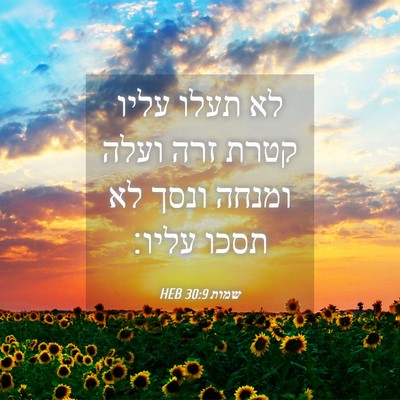 Picture 04 - שמות 30:9 HEB - לא תעלו עליו קטרת זרה ועלה - Bible Verse Picture