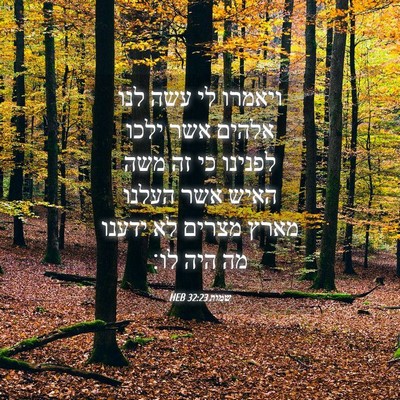 Picture 04 - שמות 32:23 HEB - ויאמרו לי עשה לנו אלהים אשר - Bible Verse Picture