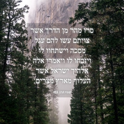 Picture 04 - שמות 32:8 HEB - סרו מהר מן הדרך אשר צויתם - Bible Verse Picture