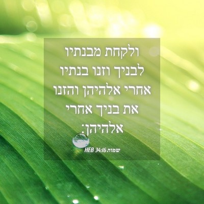 Picture 04 - שמות 34:16 HEB - ולקחת מבנתיו לבניך וזנו - Bible Verse Picture