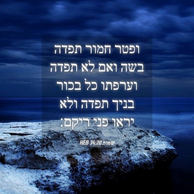 Picture 04 - שמות 34:20 HEB - ופטר חמור תפדה בשה ואם לא - Bible Verse Picture