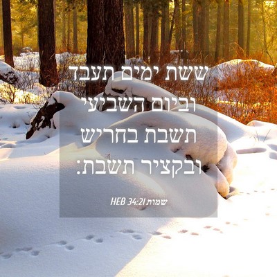 Picture 04 - שמות 34:21 HEB - ששת ימים תעבד וביום השביעי - Bible Verse Picture