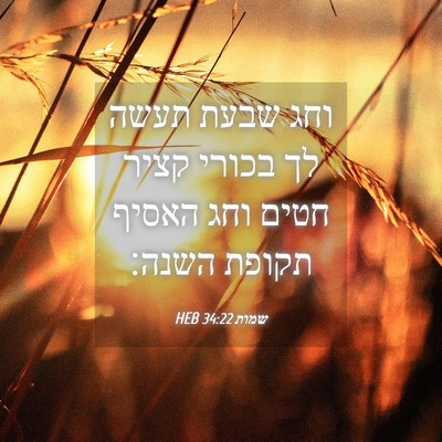 Picture 04 - שמות 34:22 HEB - וחג שבעת תעשה לך בכורי קציר - Bible Verse Picture