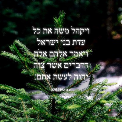 Picture 04 - שמות 35:1 HEB - ויקהל משה את כל עדת בני - Bible Verse Picture