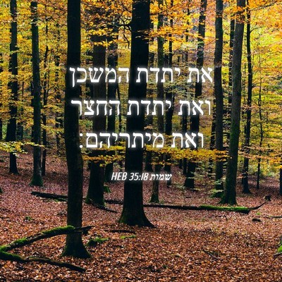 Picture 04 - שמות 35:18 HEB - את יתדת המשכן ואת יתדת החצר - Bible Verse Picture