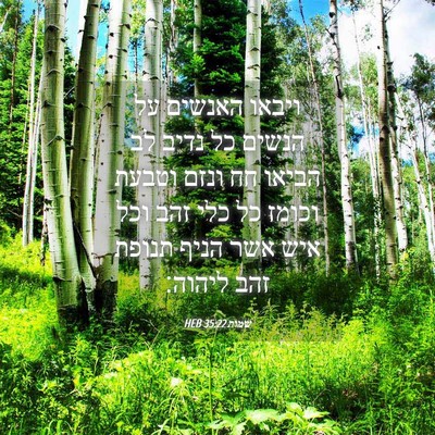 Picture 04 - שמות 35:22 HEB - ויבאו האנשים על הנשים כל - Bible Verse Picture