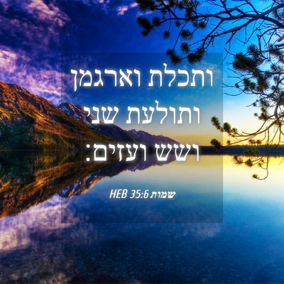 Picture 04 - שמות 35:6 HEB - ותכלת וארגמן ותולעת שני - Bible Verse Picture