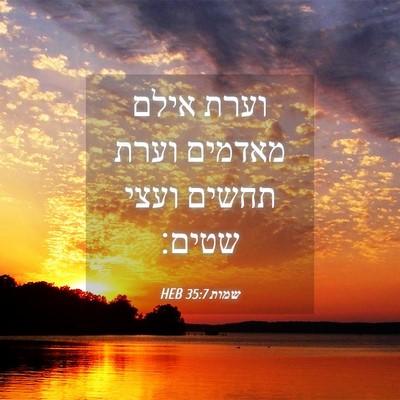 Picture 04 - שמות 35:7 HEB - וערת אילם מאדמים וערת - Bible Verse Picture