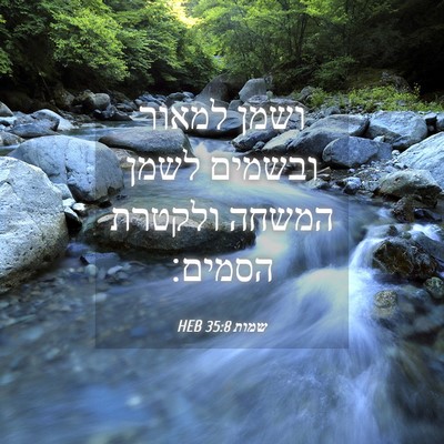Picture 04 - שמות 35:8 HEB - ושמן למאור ובשמים לשמן - Bible Verse Picture