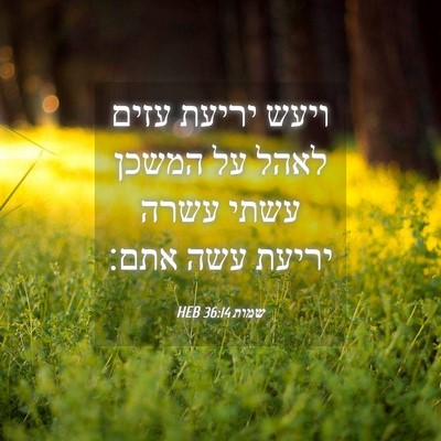 Picture 04 - שמות 36:14 HEB - ויעש יריעת עזים לאהל על - Bible Verse Picture