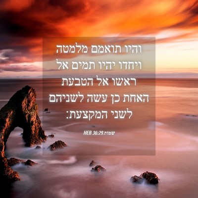 Picture 04 - שמות 36:29 HEB - והיו תואמם מלמטה ויחדו - Bible Verse Picture