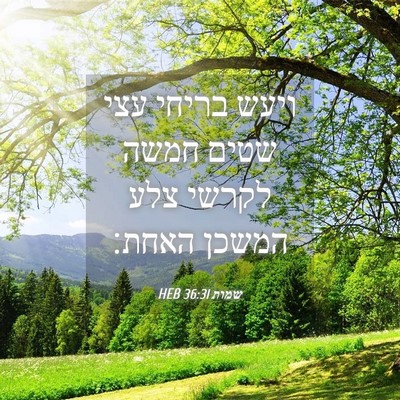 Picture 04 - שמות 36:31 HEB - ויעש בריחי עצי שטים חמשה - Bible Verse Picture