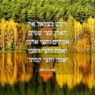 Picture 04 - שמות 37:1 HEB - ויעש בצלאל את הארן עצי שטים - Bible Verse Picture