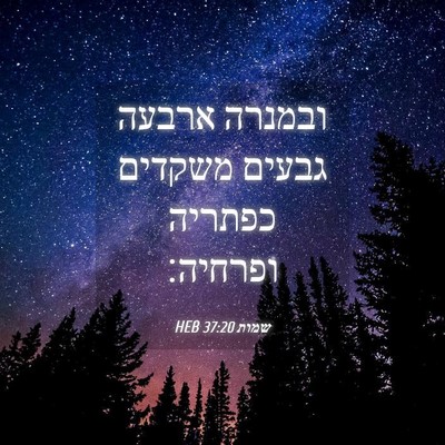 Picture 04 - שמות 37:20 HEB - ובמנרה ארבעה גבעים משקדים - Bible Verse Picture