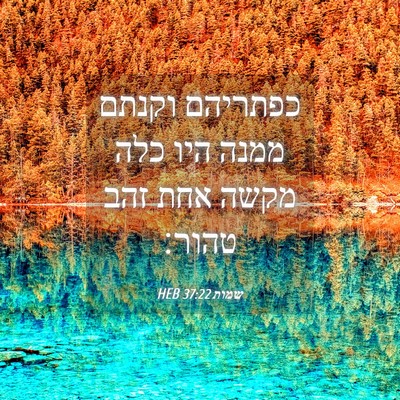 Picture 04 - שמות 37:22 HEB - כפתריהם וקנתם ממנה היו כלה - Bible Verse Picture