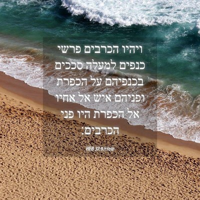 Picture 04 - שמות 37:9 HEB - ויהיו הכרבים פרשי כנפים - Bible Verse Picture