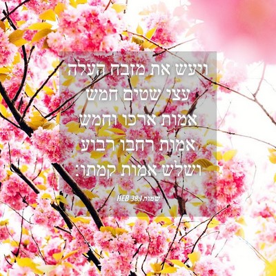 Picture 04 - שמות 38:1 HEB - ויעש את מזבח העלה עצי שטים - Bible Verse Picture
