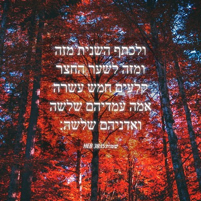 Picture 04 - שמות 38:15 HEB - ולכתף השנית מזה ומזה לשער - Bible Verse Picture