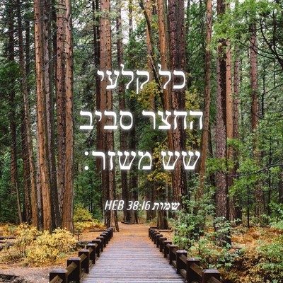 Picture 04 - שמות 38:16 HEB - כל קלעי החצר סביב שש - Bible Verse Picture