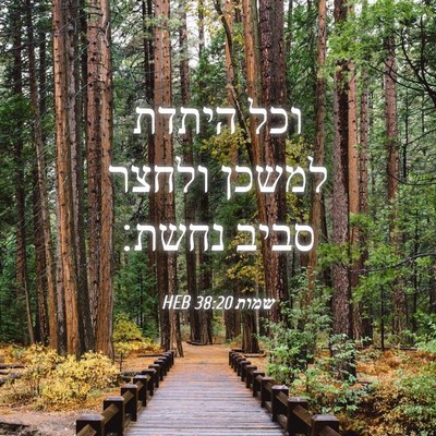 Picture 04 - שמות 38:20 HEB - וכל היתדת למשכן ולחצר סביב - Bible Verse Picture