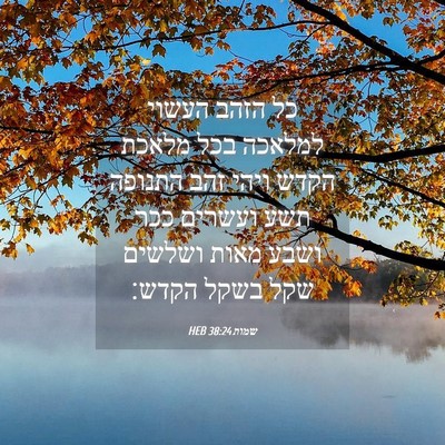 Picture 04 - שמות 38:24 HEB - כל הזהב העשוי למלאכה בכל - Bible Verse Picture