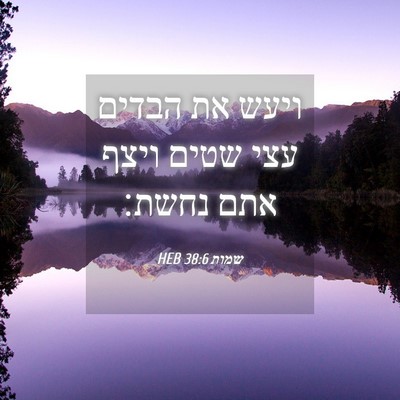 Picture 04 - שמות 38:6 HEB - ויעש את הבדים עצי שטים ויצף - Bible Verse Picture