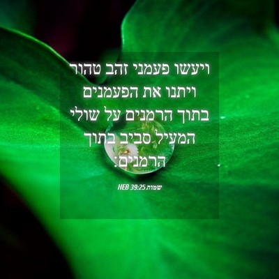 Picture 04 - שמות 39:25 HEB - ויעשו פעמני זהב טהור ויתנו - Bible Verse Picture