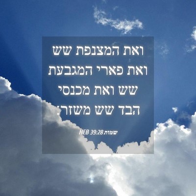 Picture 04 - שמות 39:28 HEB - ואת המצנפת שש ואת פארי - Bible Verse Picture