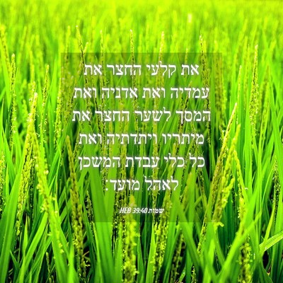 Picture 04 - שמות 39:40 HEB - את קלעי החצר את עמדיה ואת - Bible Verse Picture