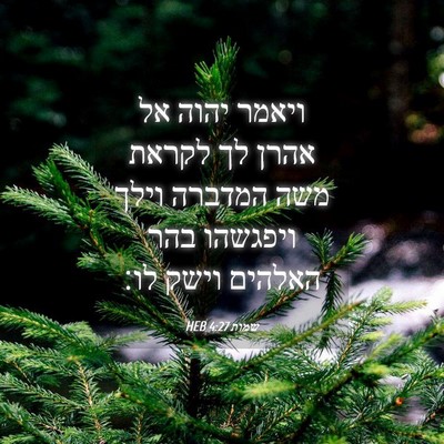 Picture 04 - שמות 4:27 HEB - ויאמר יהוה אל אהרן לך לקראת - Bible Verse Picture